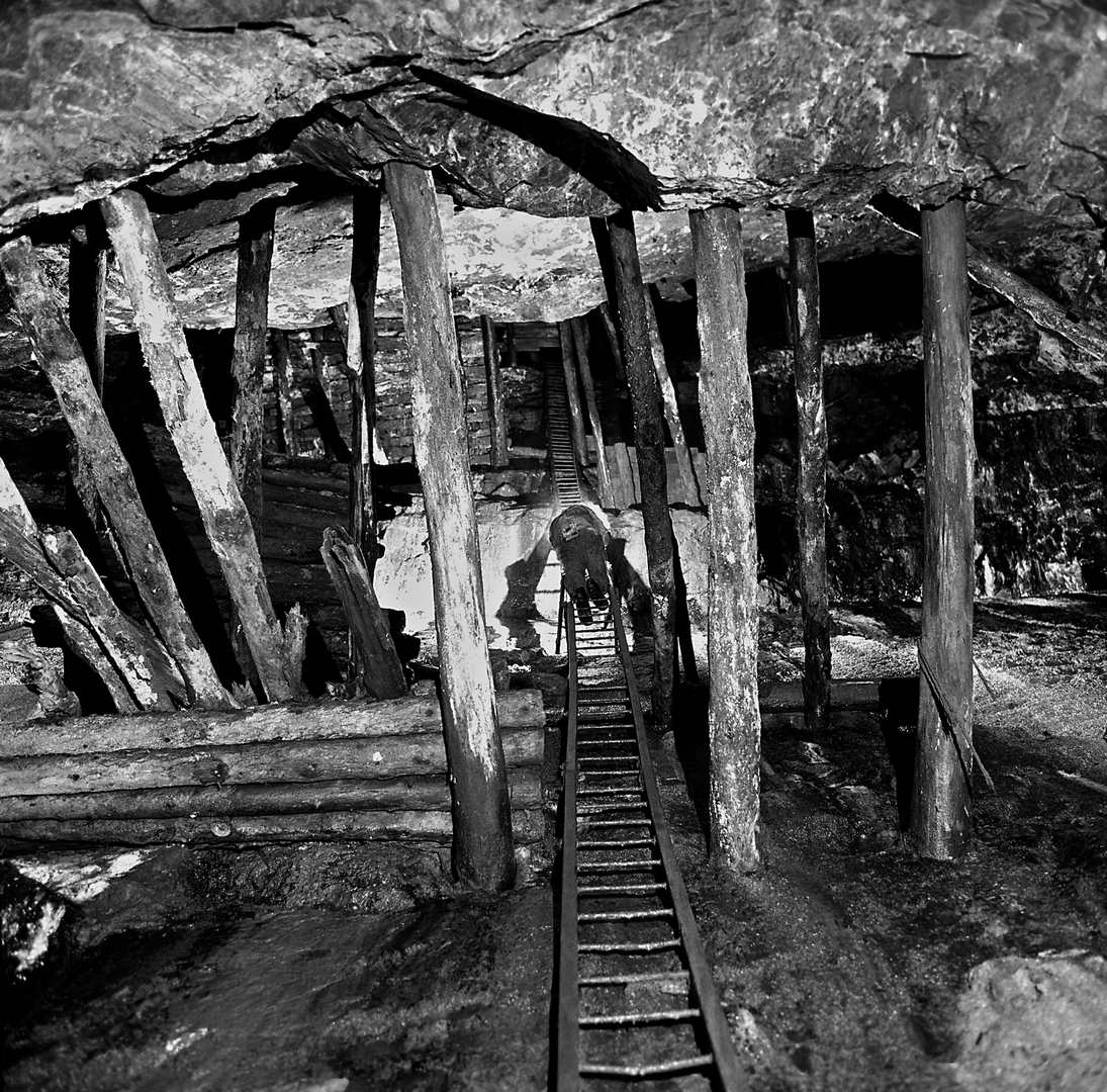 Ladder to surface New Pandora Mine June 1977